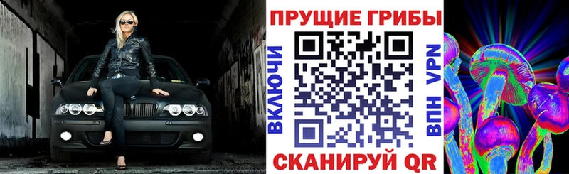 Псилоцибиновые грибы мицелий Омск