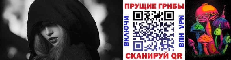 Псилоцибиновые грибы Cubensis  Омск 
