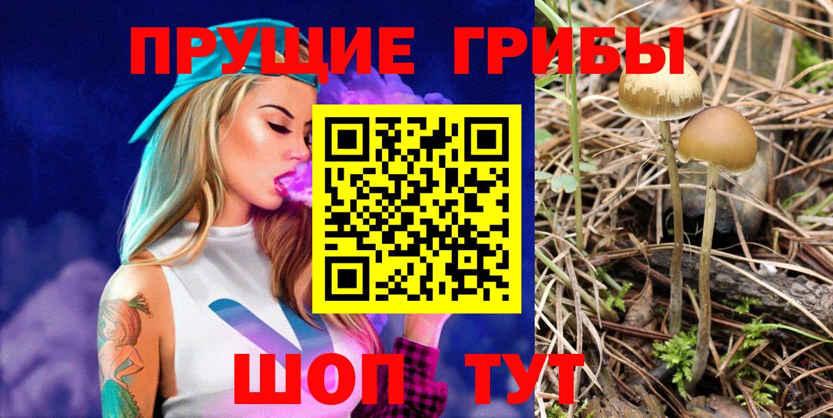 Галлюциногенные грибы Psilocybine cubensis  Вход с VPN  Омск 